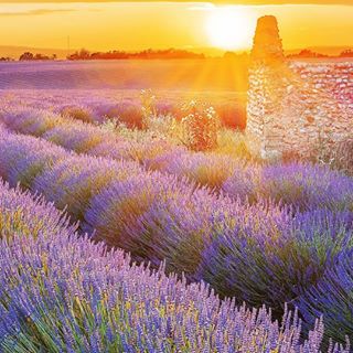 Profile Picture of John Munsch (@johnmunsch0) on Facebook