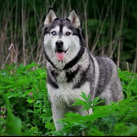 Profile Picture of Scott Welbaum (@scott5992) on Pinterest