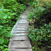 Profile Picture of Gregory Roy (@groyge) on Youtube