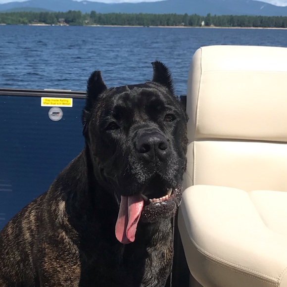 Profile Picture of Michael Vasconcellos (@vascy609) on Poshmark