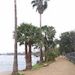 Profile Picture of Josh Shelby (@joshs3357) on Pinterest