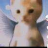 Profile Picture of alex (@alex_cringr) on Tiktok