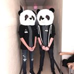 Profile Picture of Steven (@steven_hua_) on Instagram