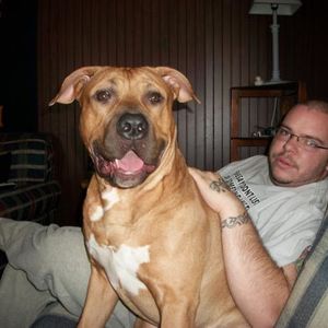 Profile Picture of Brandon Ehinger (@brandonehinger) on Myspace