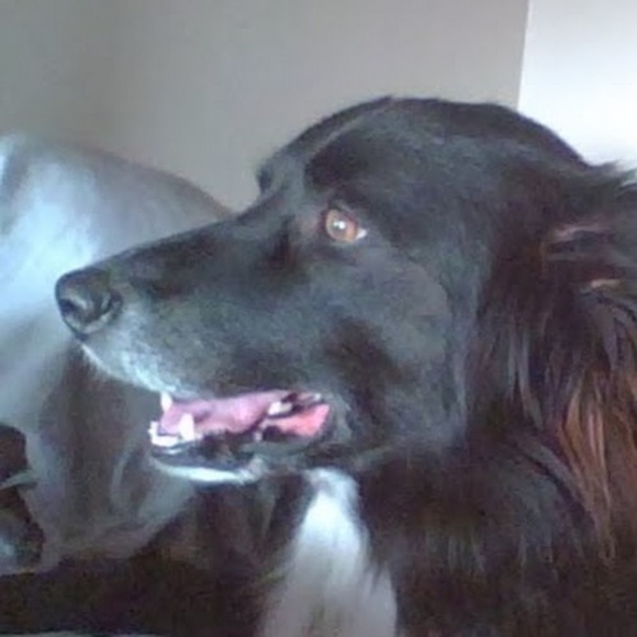 Profile Picture of Chris Capettini (@erincapettini) on Poshmark