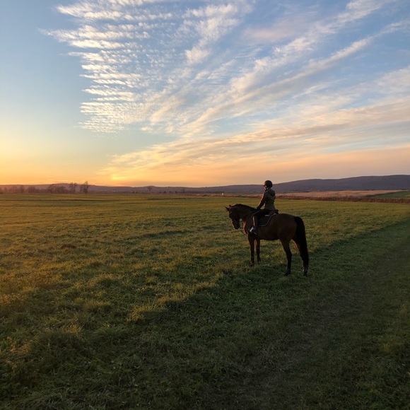 Profile Picture of Sophia Gianopoulos (@sogiano16) on Poshmark