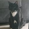 Profile Picture of Jason Broadbent (@@jbros13b) on Tiktok