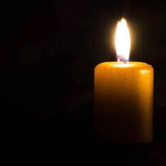 Jen Olgin - Poshmark Profile Picture of Jen Olgin (@jenolgin) on Poshmark