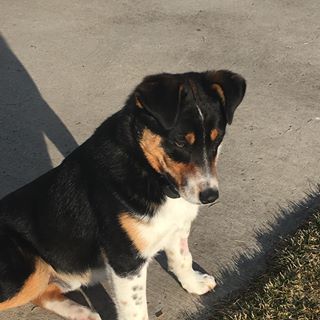 Profile Picture of Marilyn Heward (@marilyn.heward.1) on Facebook