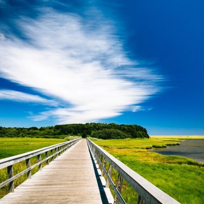 Profile Picture of Christopher Micciche (@NHPScience22) on Twitter