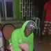 Profile Picture of Wilfried Zangue (@wilfried.zangue.14) on Facebook