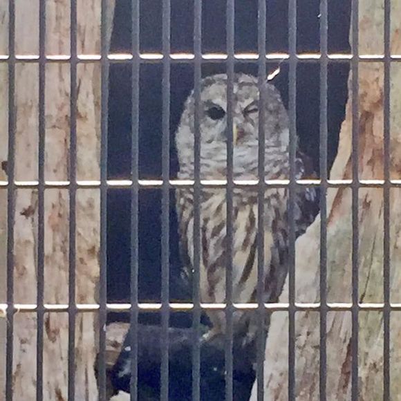 Profile Picture of Huānlè Huānlè (@mjfr626) on Poshmark