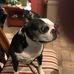 Profile Picture of Leonard Peeples (@leonard.peeples.3) on Facebook