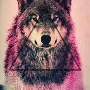 Profile Picture of Pedro Avellaneda (@pokepedro17) on Tiktok