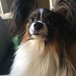 Profile Picture of Michael Noe Wishart (@michaelnoewishart) on Instagram