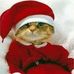 Profile Picture of Nancy Dabrowski (@nancy.dabrowski.73) on Facebook