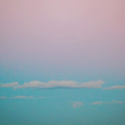 Profile Picture of David McCormack (@eggmammal) on Youtube