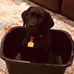 Profile Picture of John Bajkowski (@john.bajkowski.5) on Facebook