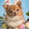 Profile Picture of Jeanette Danielson (@@jeanettedanielson) on Tiktok