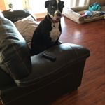 Profile Picture of Chris Jackling (@jacklingchris) on Instagram