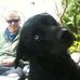 Profile Picture of Michael Ferrone (@michael.ferrone.5) on Facebook