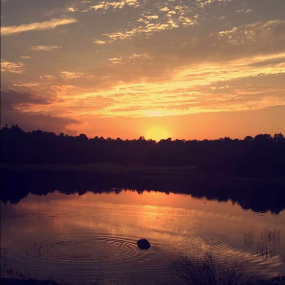 Profile Picture of Tara Petrosh (@taraannepetrosh) on Poshmark