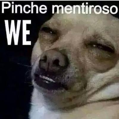 Profile Picture of Gerardo Joseph (@JosephNazy) on Twitter