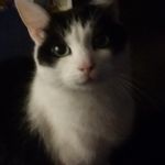 Profile Picture of Andreas Strathmann (@strathi) on Instagram