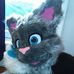 Profile Picture of Gary Kats (@tailstar.wulf.9) on Facebook