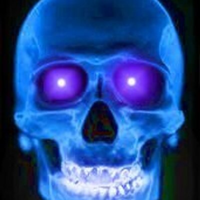 Profile Picture of Josh Prothero (@turtleboy05) on Twitter