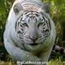 Profile Picture of Thomas Lineberger (@thomas.lineberger.9) on Facebook