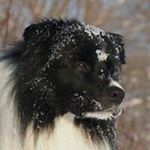 Profile Picture of Robert Muttenhammer (@robertmuttenhammer) on Instagram