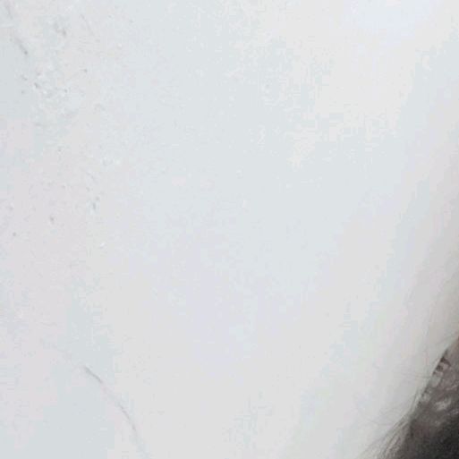 Profile Picture of Christopher 🐯 (@christo_78) on Tiktok