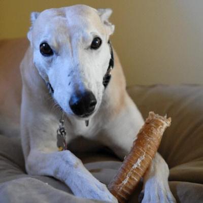 Profile Picture of Bob Geoghegan (@bobgeoghegan) on Twitter