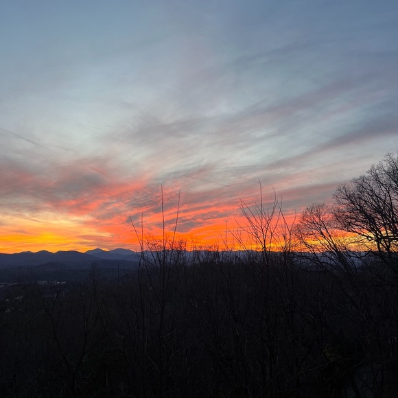 Profile Picture of Sally Quarrier (@sallyquarrier_) on Poshmark