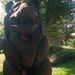 Profile Picture of Seweryn Ławrowski (@sawrowski) on Pinterest