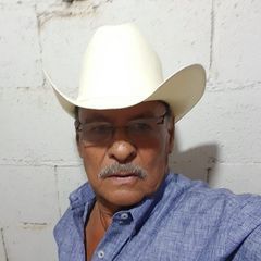 Profile Picture of Pedro Fraire (@pedro.fraire2) on Tiktok