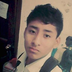 Profile Picture of Nilson Hernandez (@nova87022) on Twitter