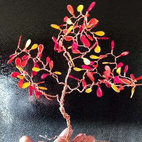 Profile Picture of Barbara Crain (@mombara1) on Pinterest