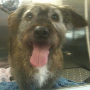 Profile Picture of John Wiley (@johnwiley5142) on Youtube