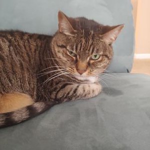 Profile Picture of Hudson Clark (@HudsonClark13) on Twitter