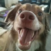 Profile Picture of Renning Bruns (@nullren) on Youtube