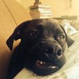 Profile Picture of Wayland Smith (@wayland.smith.7) on Myspace
