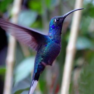 Profile Picture of Ed Wingate (@justamerelady56) on Twitter