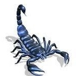 Profile Picture of Peter Rütten (@pwruetten) on Instagram