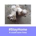 Profile Picture of Judy Laird (@judy.laird.3388) on Facebook