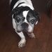 Profile Picture of Archibald Franklin (@archibald.franklin.7) on Facebook