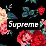 Profile Picture of james gurney(business Starter) (@apple.products.bands) on Instagram