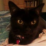 Profile Picture of Marjorie Johnson (@enchantedyarnandknits) on Instagram