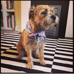 Profile Picture of George Holt (@oh_my_georgie) on Instagram